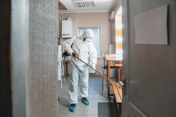 Biohazard Mold Removal in Mascotte, FL